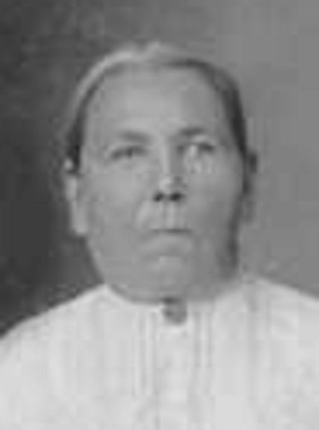 Mary Mason (1836 - 1913) Profile